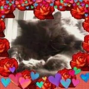 Meet your Posher, Sally